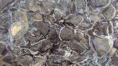 ice pebbles closeup