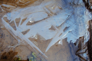 ice shards 2